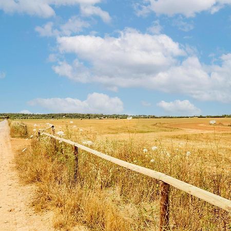 Possessio Sa Barrala Gallinero Campos  Εξωτερικό φωτογραφία